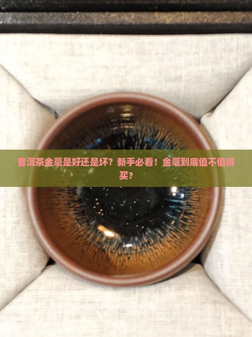 普洱茶金毫是好还是坏
