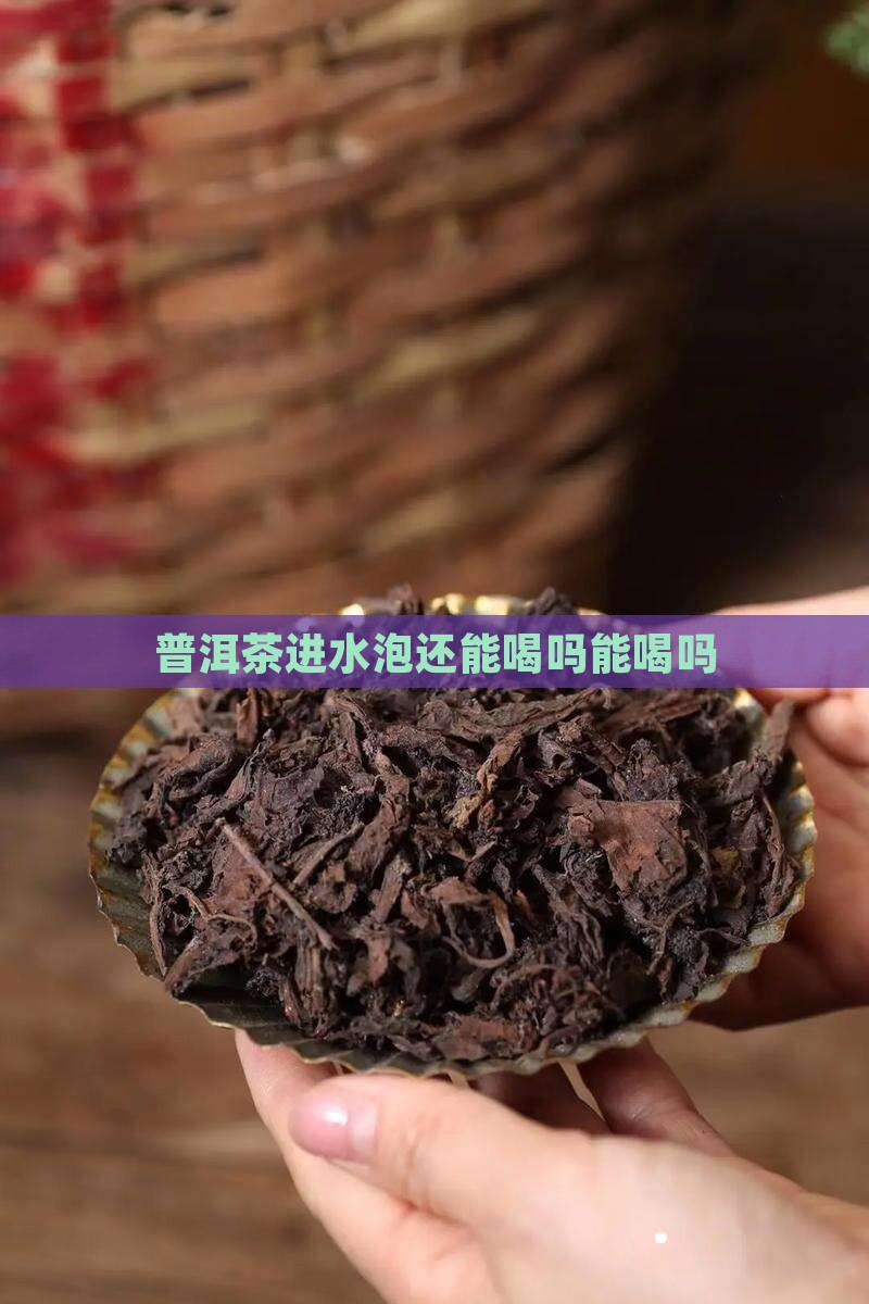普洱茶进水泡还能喝吗为什么