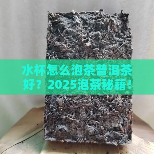 水杯怎么泡茶普洱茶好