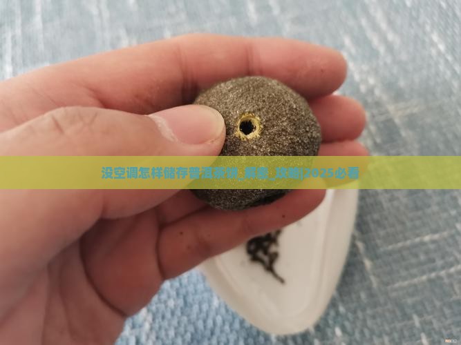 没空调怎样储存普洱茶饼