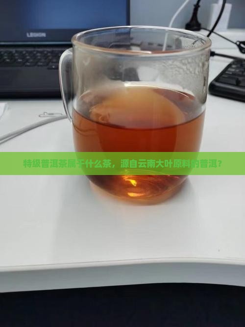 特级普洱茶属于什么茶