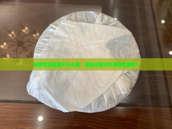 特级普洱茶属于什么茶