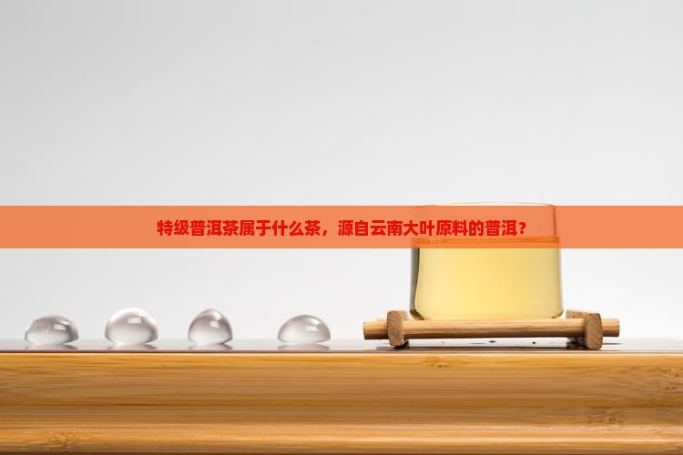 特级普洱茶属于什么茶
