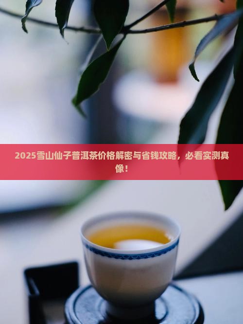 雪山仙子普洱茶价格表大全