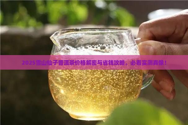 雪山仙子普洱茶价格表大全