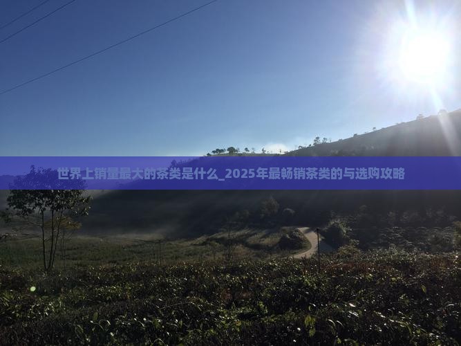世界上销量最大的茶类是什么