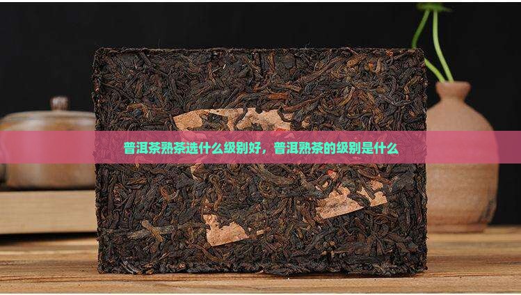 普洱茶熟茶选什么级别