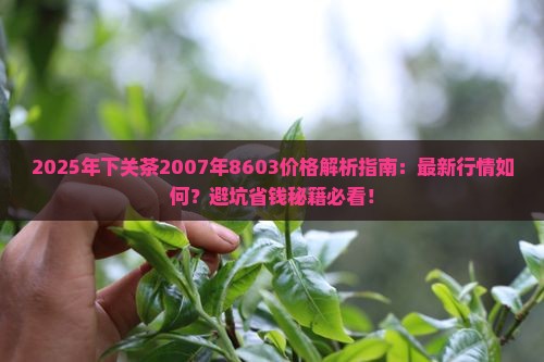 下关茶2007年8603价格