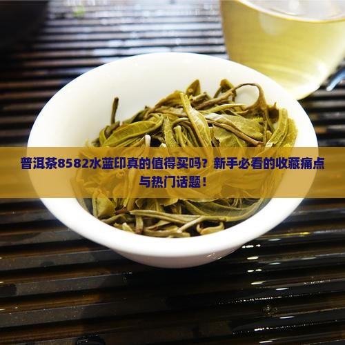 普洱茶8582水蓝印