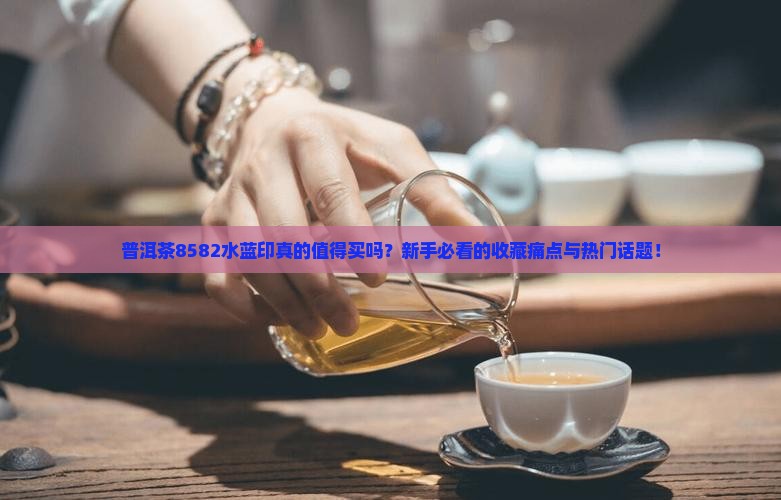普洱茶8582水蓝印