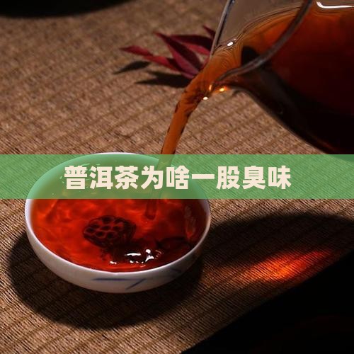 普洱茶为啥一股臭味