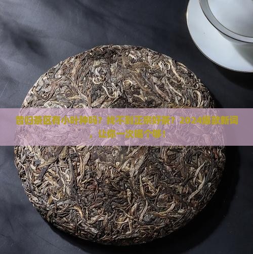 昔归茶区有小叶种吗