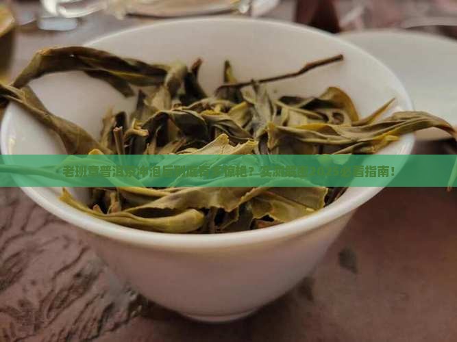 老班章普洱茶沏泡后的特点