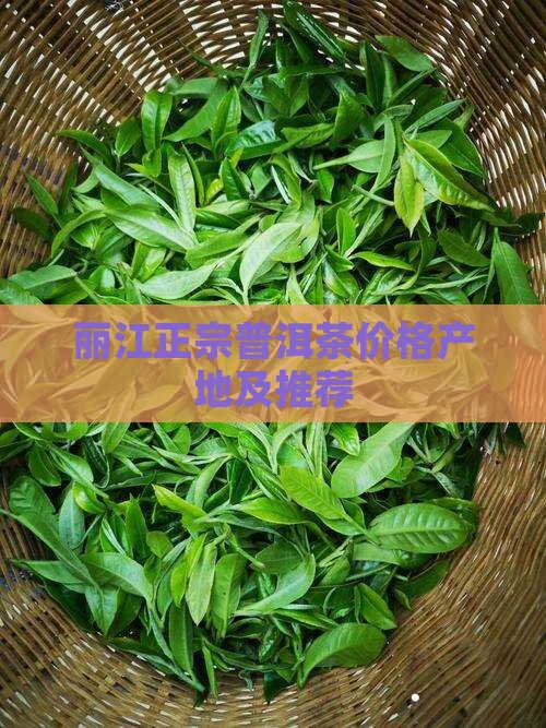 丽江正宗普洱茶