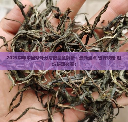 中粮中国茶叶有多少家分店