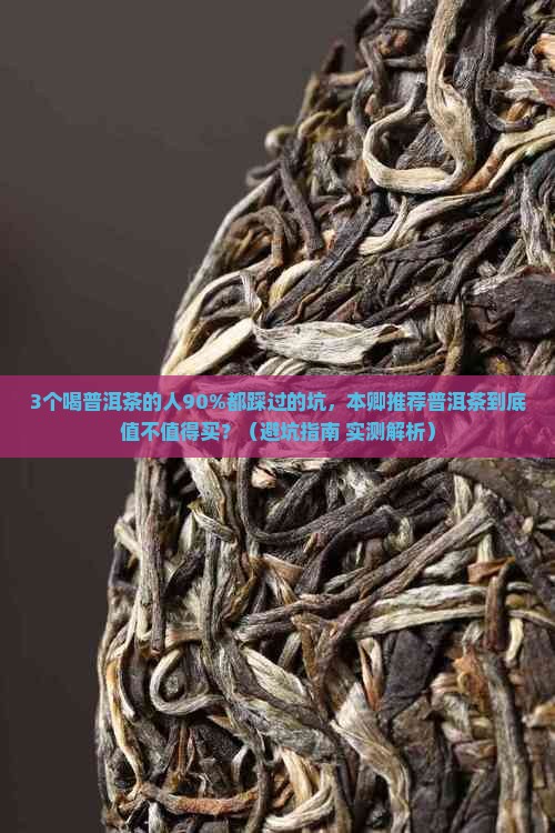 本卿推荐普洱茶