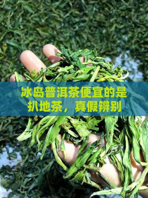 冰岛普洱茶便宜的是扒地茶