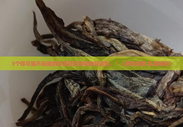 普洱茶压饼和散茶区别