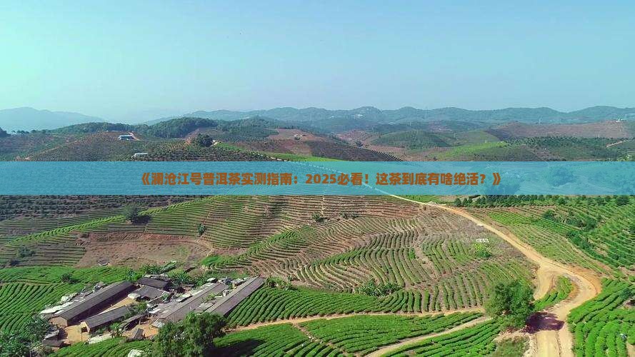澜沧江号普洱茶