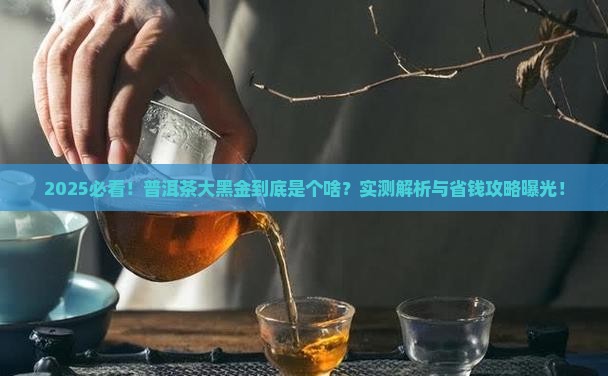 普洱茶大黑金是什么茶