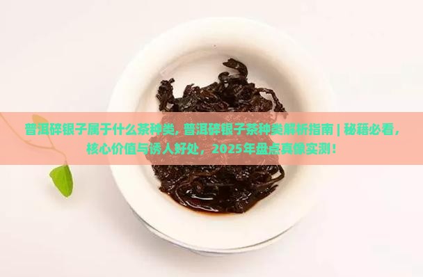 普洱碎银子属于什么茶种类