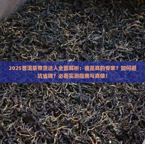 普洱茶带货达人有哪些