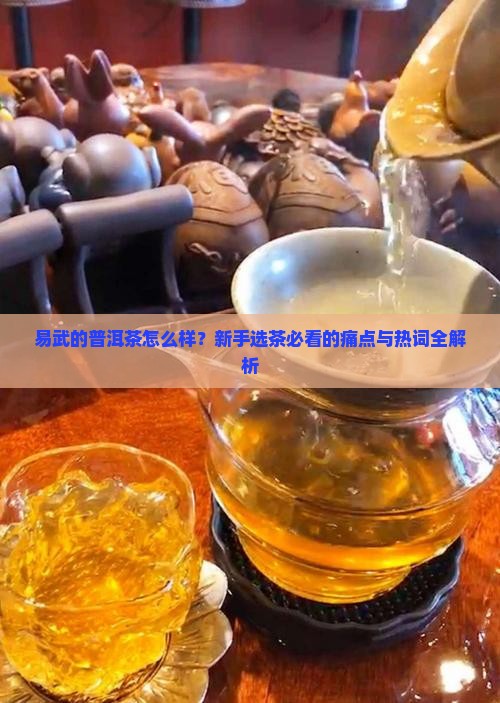 易武的普洱茶怎么样
