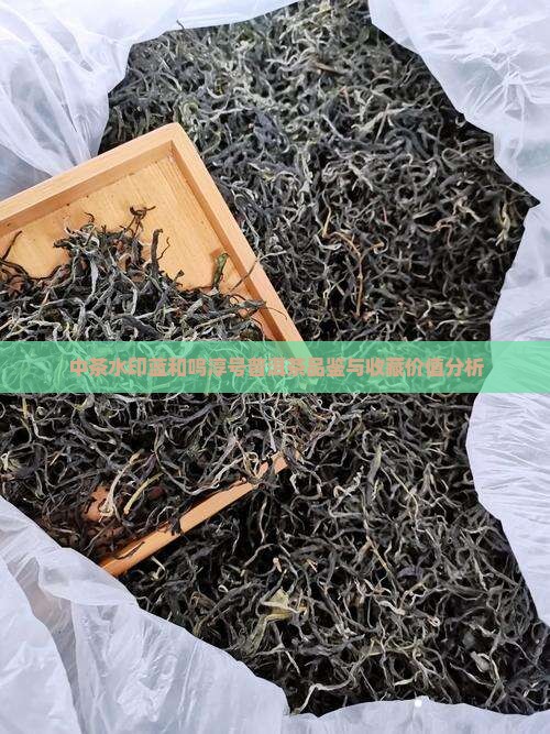 中茶水印蓝和鸣淳号