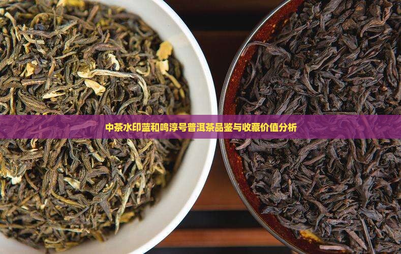 中茶水印蓝和鸣淳号