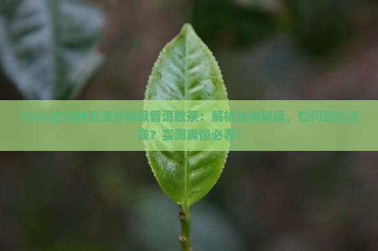 吉幸牌普洱茶特级普洱散茶