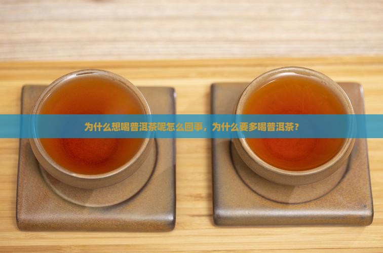 为什么想喝普洱茶呢怎么回事