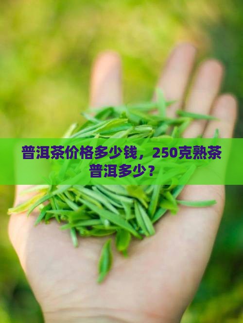 普洱茶50元价格250克