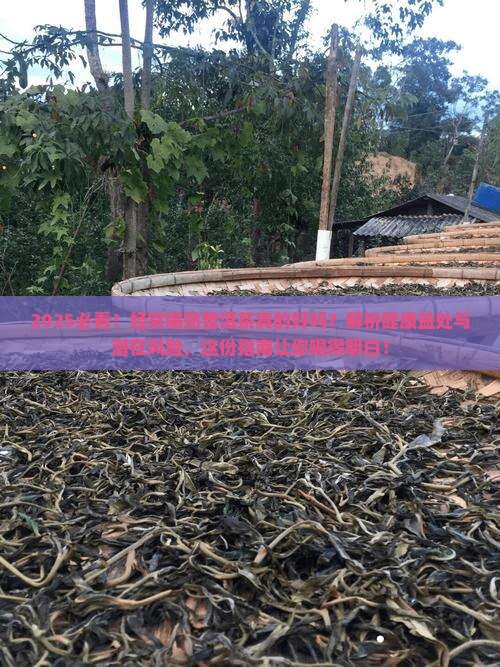 经常喝熟普洱茶可以吗