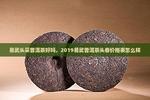 易武头采普洱茶好吗