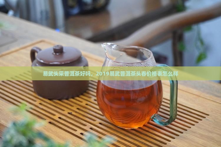 易武头采普洱茶好吗