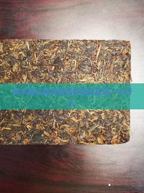 邦木春尖普洱茶