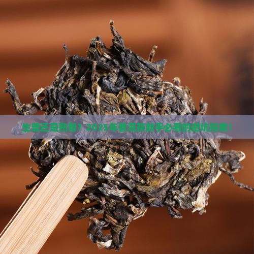 普洱茶生普茶好还是熟普洱茶好
