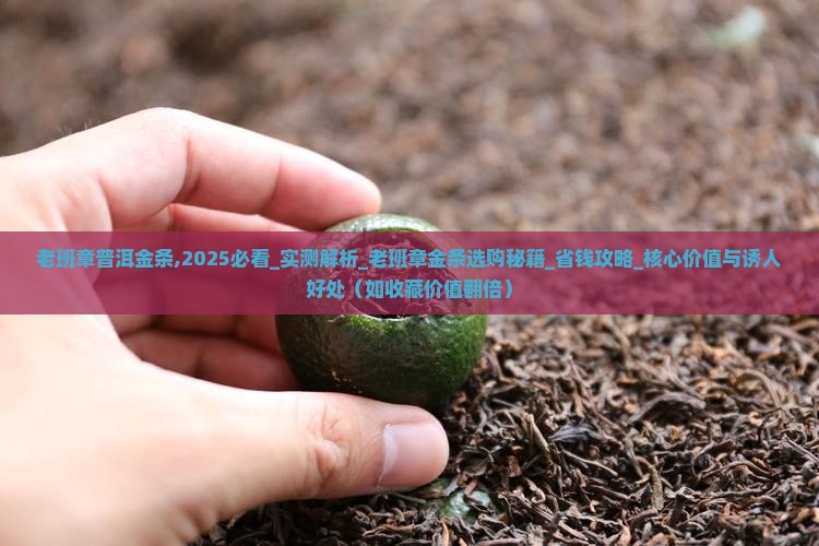 老班章普洱金条
