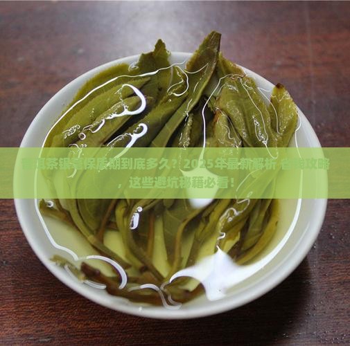 普洱茶银毫保质期一般多久