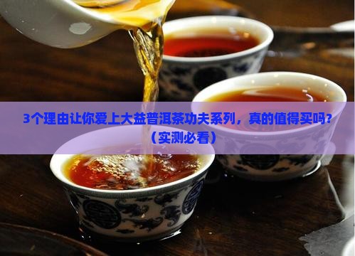 大益普洱茶功夫系列