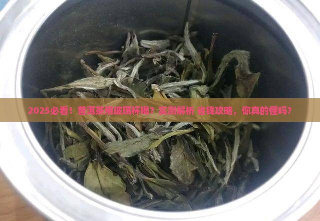 普洱茶能用玻璃杯喝吗