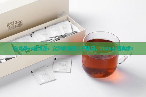 乌龙茶和普洱茶哪个瘦肚子