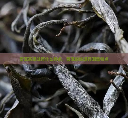 普洱茶吸味有什么特点