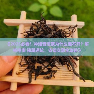 冲泡普洱茶为什么泡不开