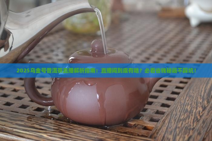 乌金号普洱茶直播