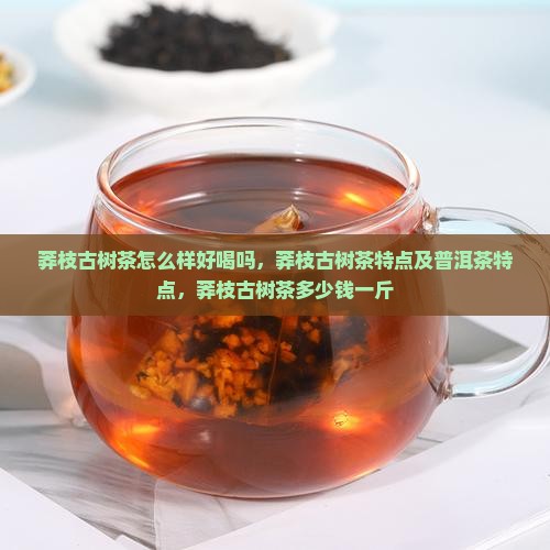莽枝古树茶怎么样