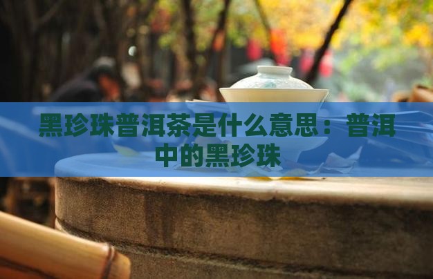 黑珍珠普洱茶是什么意思