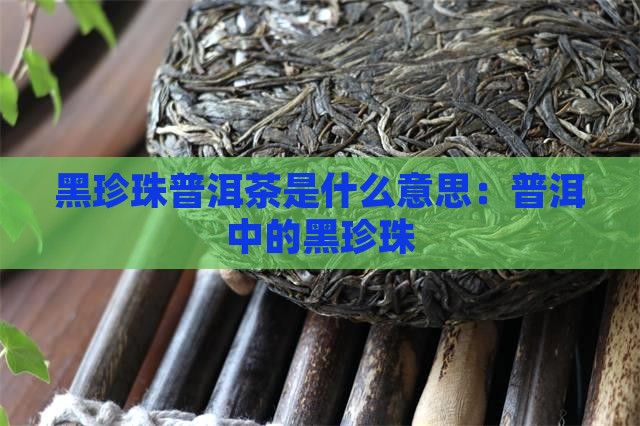 黑珍珠普洱茶是什么意思