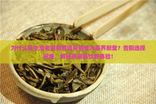 陈生浩老班章普洱茶