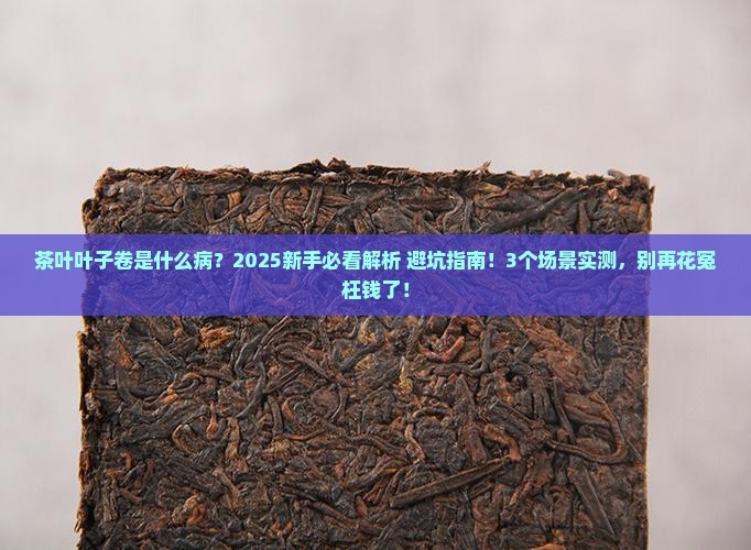 茶叶叶子卷是什么病
